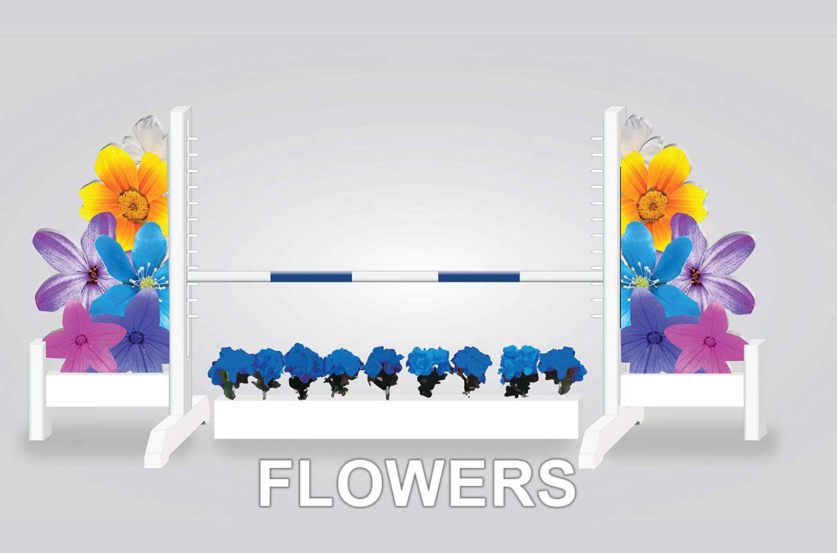 image flowers with flowerbox